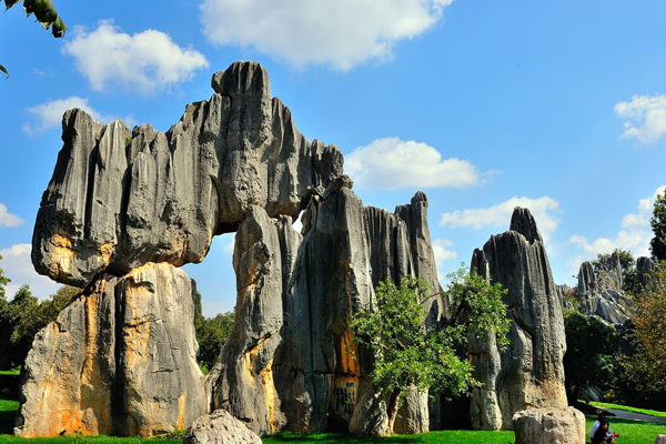 Stone-Forest-13
